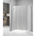 frameless stainless steel hinge shower enclosure